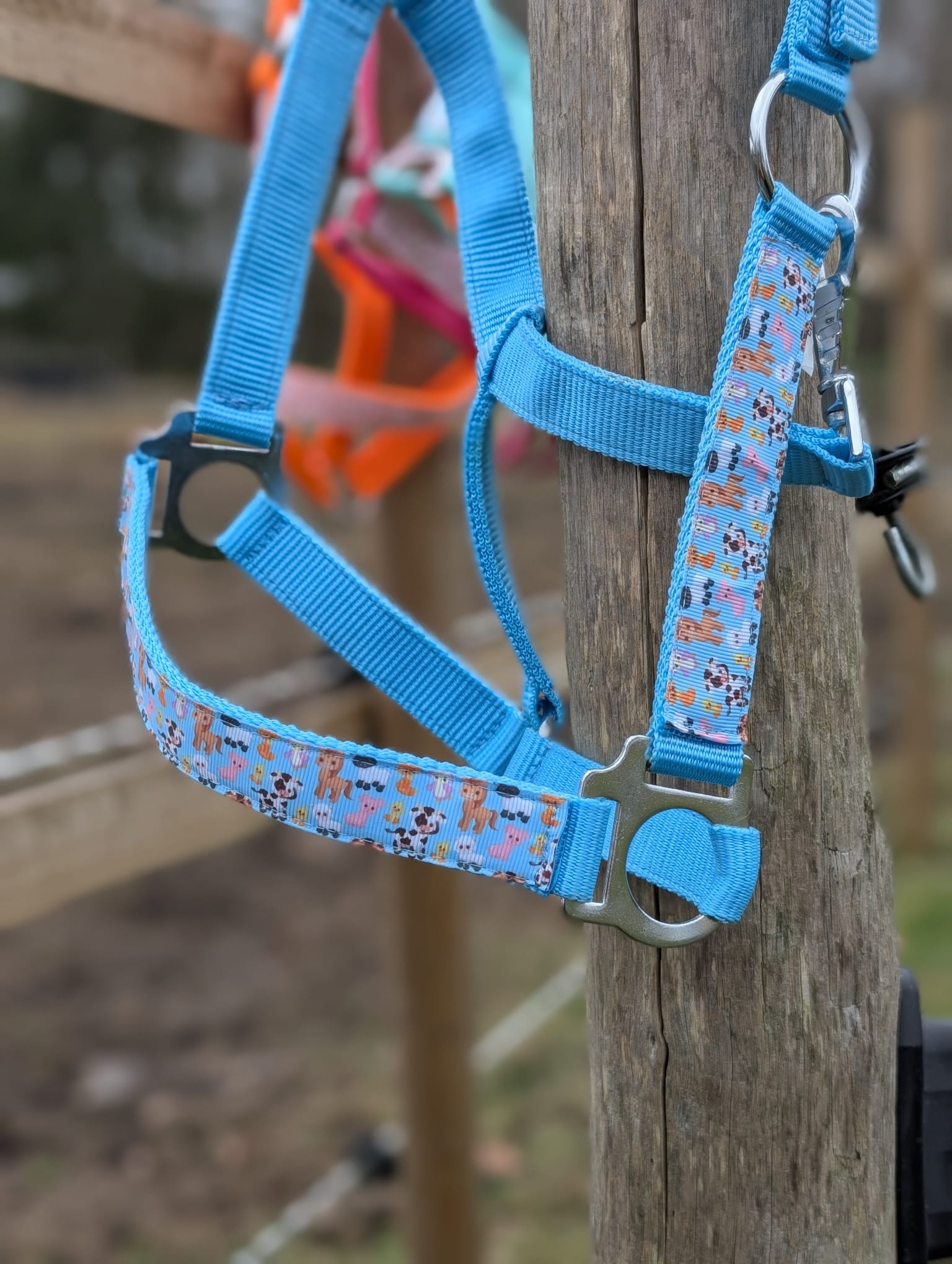 Boerderij Halster - Afbeelding 6