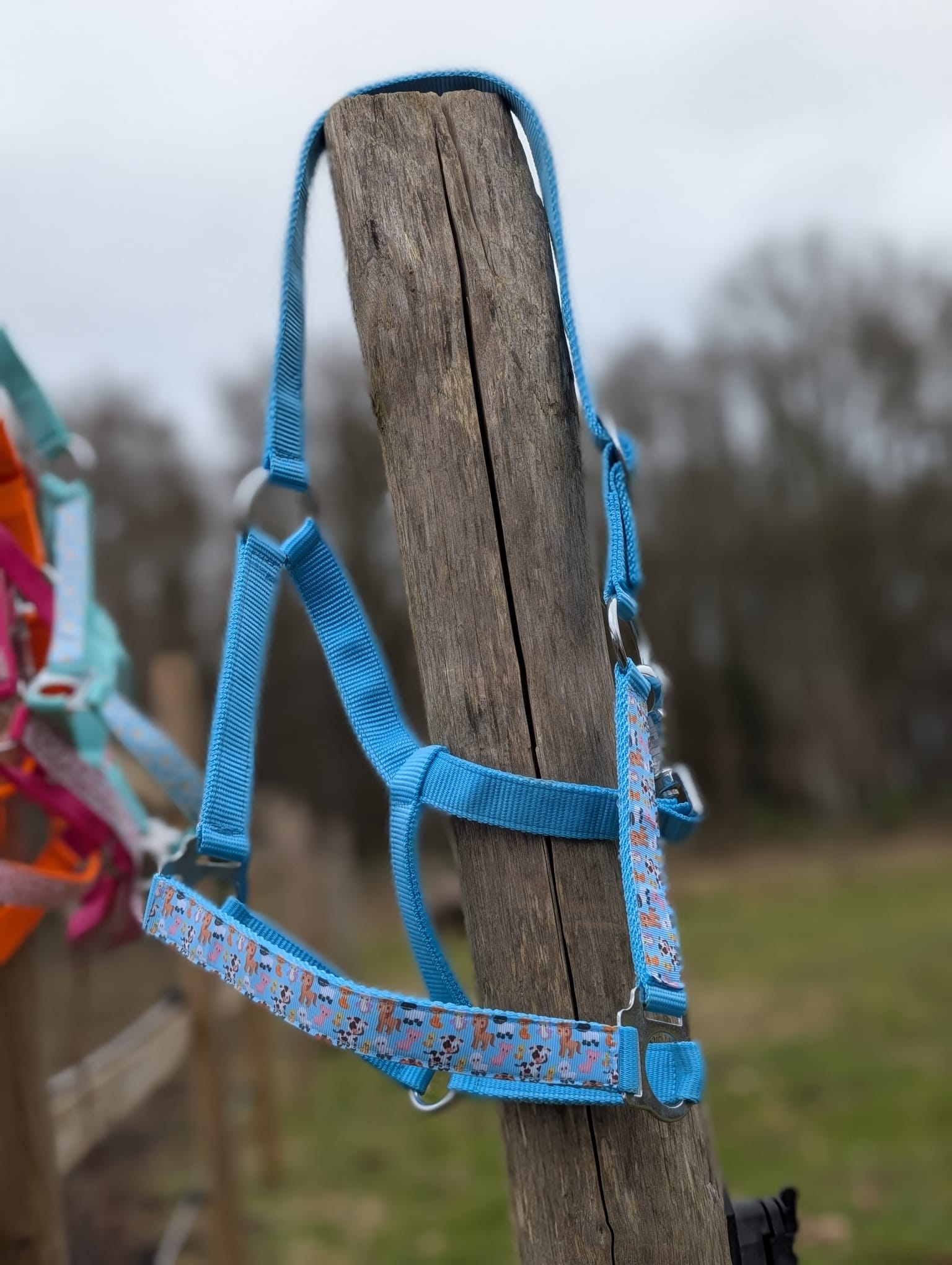 Boerderij Halster - Afbeelding 3