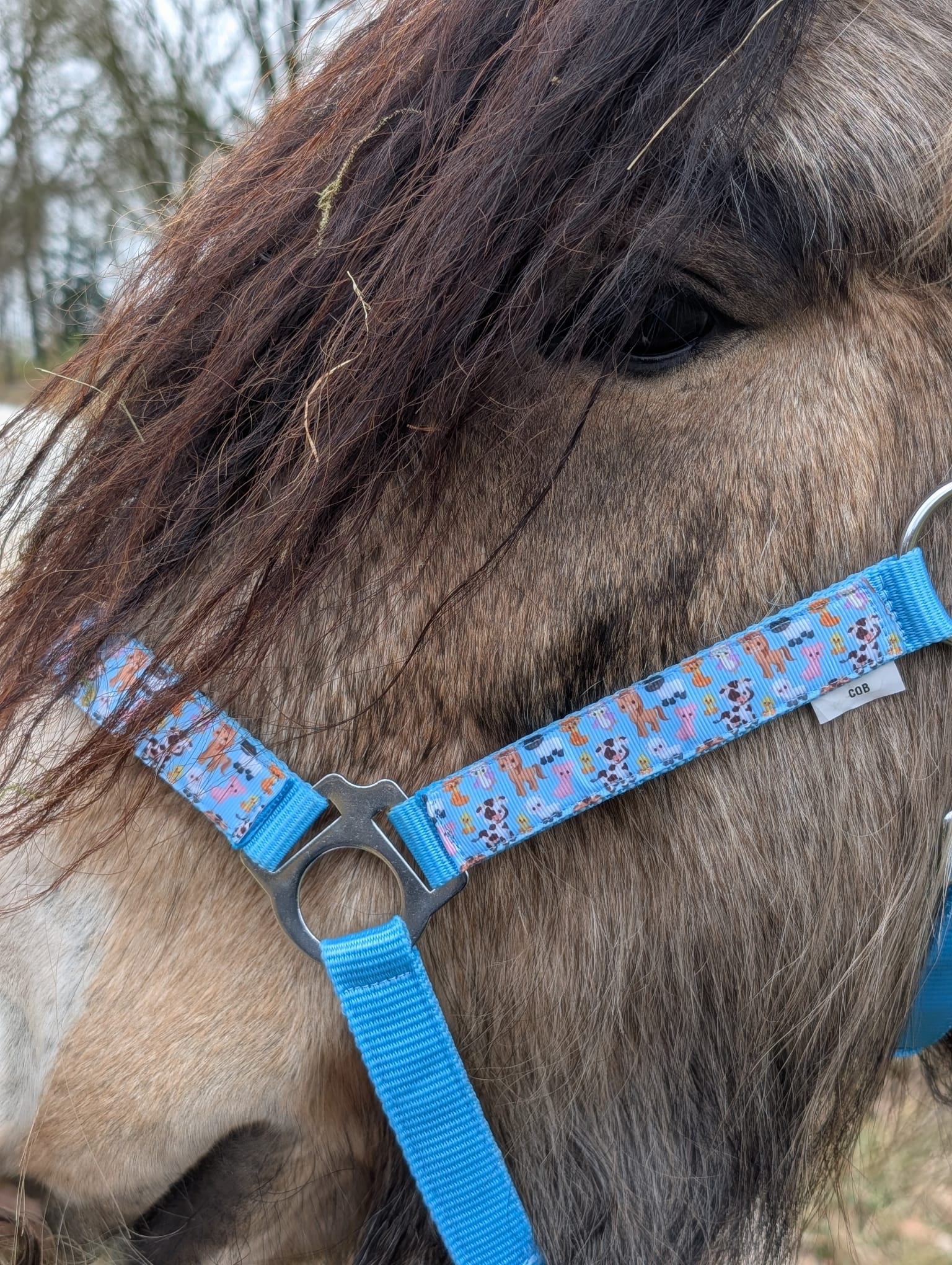 Boerderij Halster - Afbeelding 11