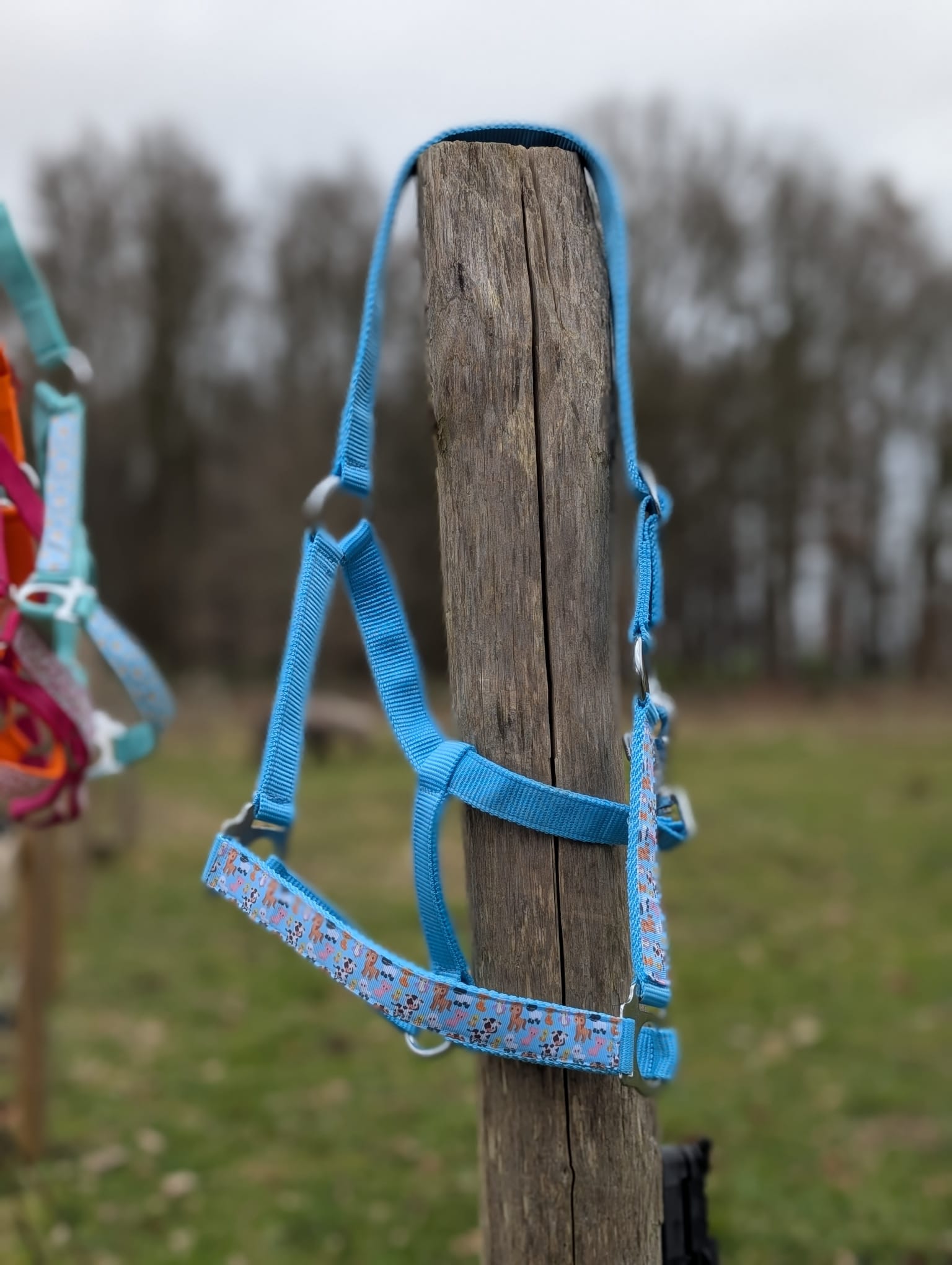 Boerderij Halster - Afbeelding 2