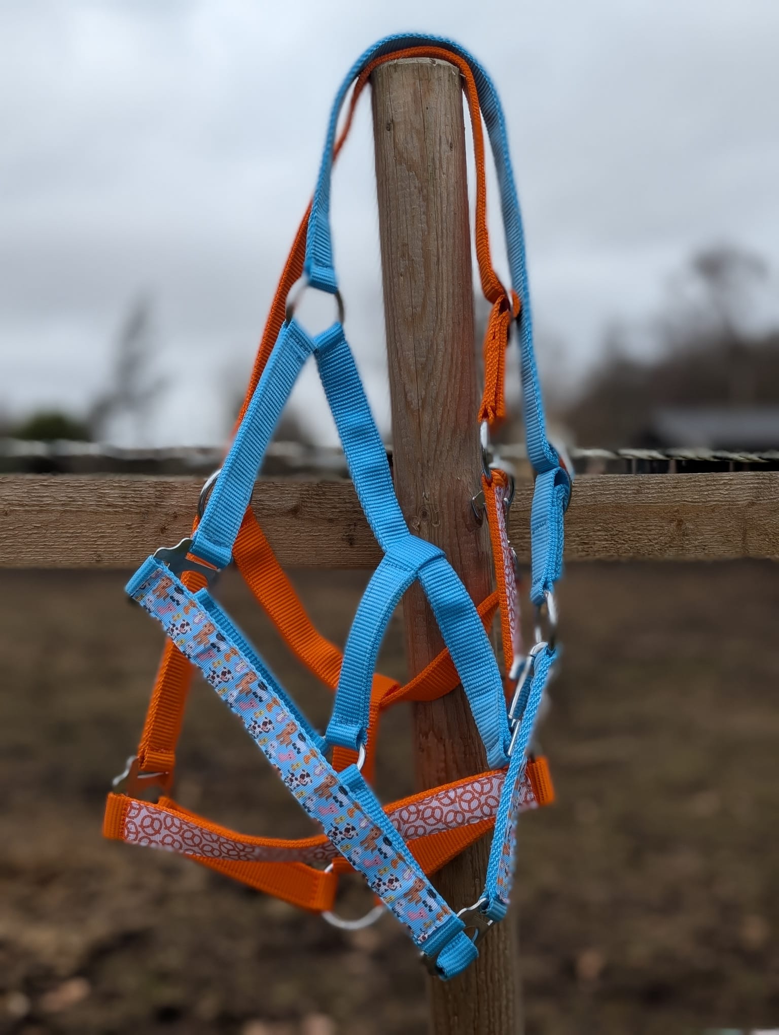 Boerderij Halster - Afbeelding 7