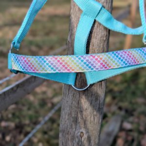 Regenboog Hartjes Halster