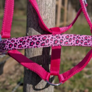 Panter Roze Halster