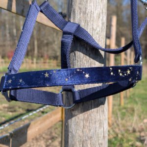 Velvet Navy Blauw met Gouden Sterren Halster *PRE ORDER*