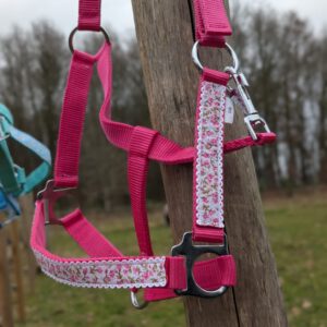 Roze Bloesem Halster