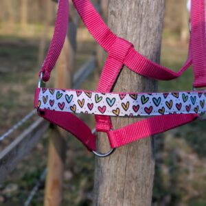 Hartjes in Kleur Halster