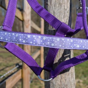 Lila Sterren Halster