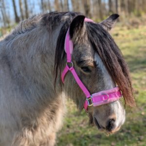 Roze Kaptoom Halster