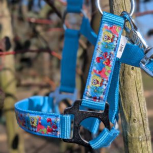 Spongebob Blauw Halster