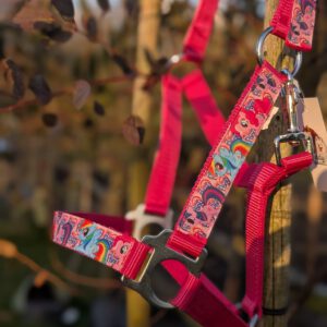 My Little Pony Halster